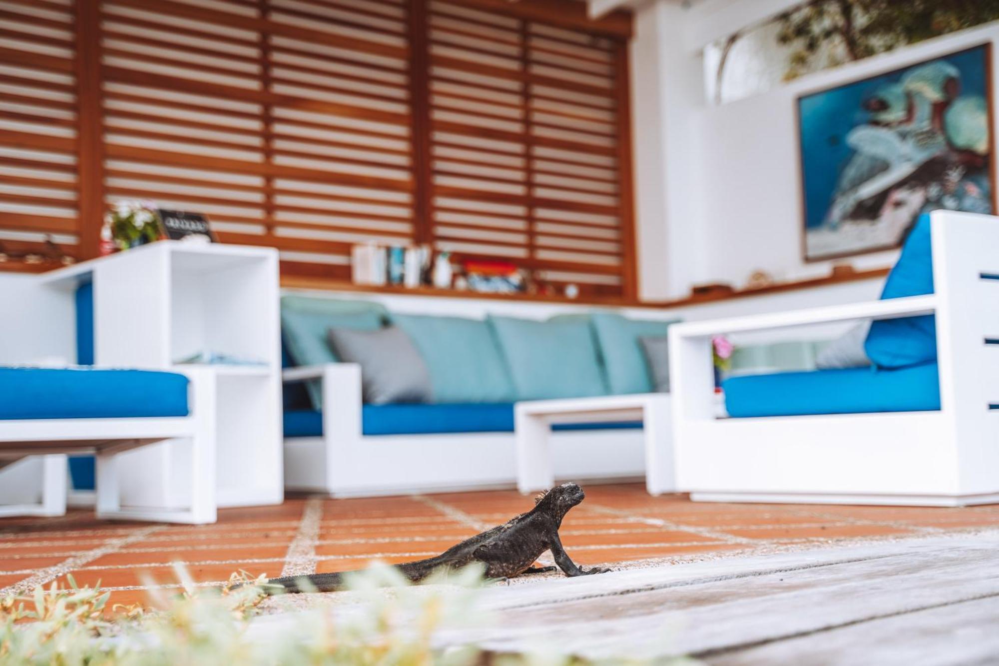 Hotel Cucuve Puerto Ayora  Zewnętrze zdjęcie