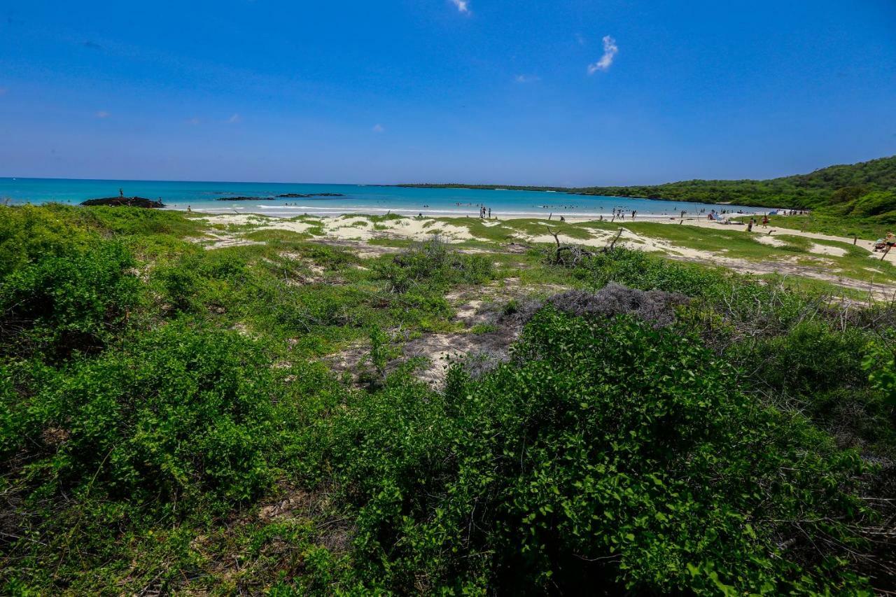 Hotel Cucuve Puerto Ayora  Zewnętrze zdjęcie